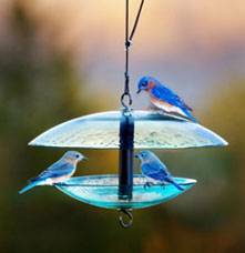 Three Bluebirds eating at the Mosaic Birds Dome Bird Feeder