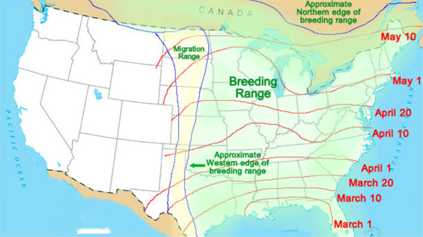 Map showing the dates for hanging hummingbird feeders.
