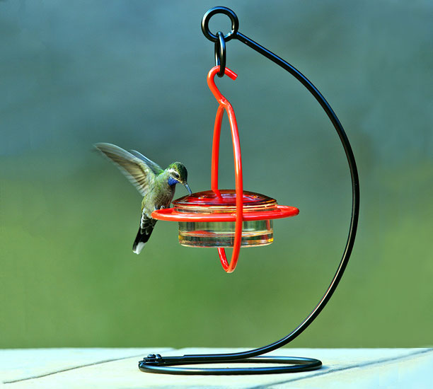 A hummingbird is feeding on a glass hummingbird feeder.