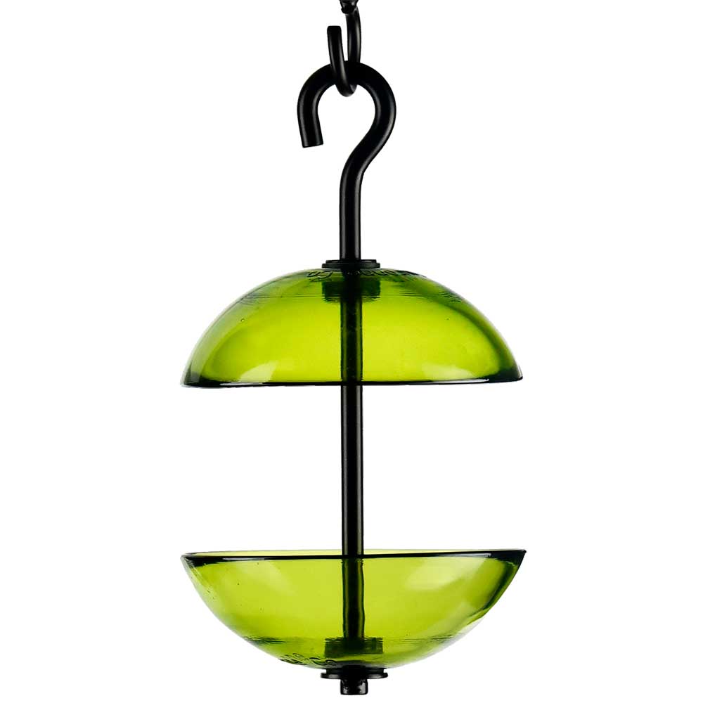 Double Hanging Poppy Feeder Lime