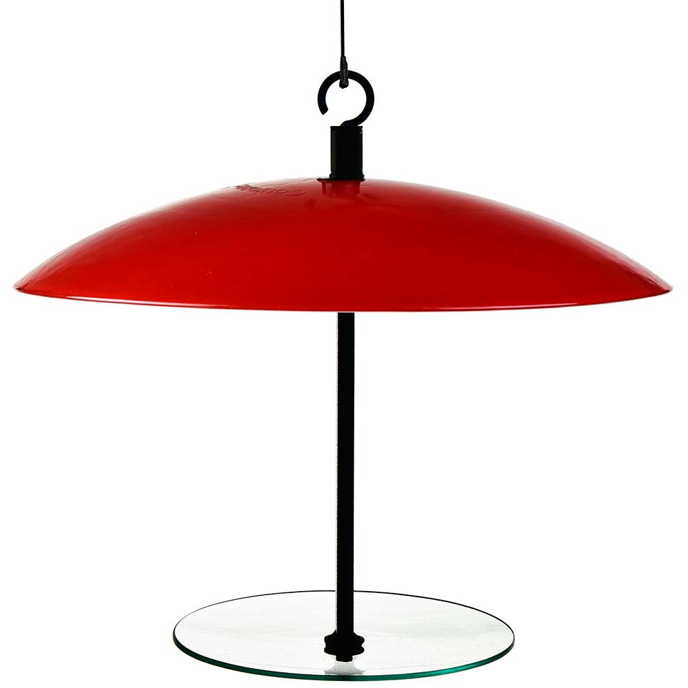 360 Degree Seed Cylinder Feeder Ruby Red